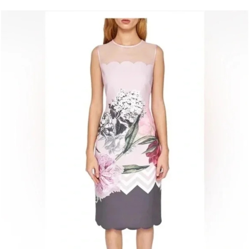 NWT TED BAKER  Arionah Palace Gardens Scallop Dusty Pink dress size 3, size US 8 - Picture 2 of 16
